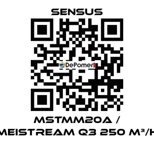 MSTMM20A / MeiStream Q3 250 m³/h Sensus