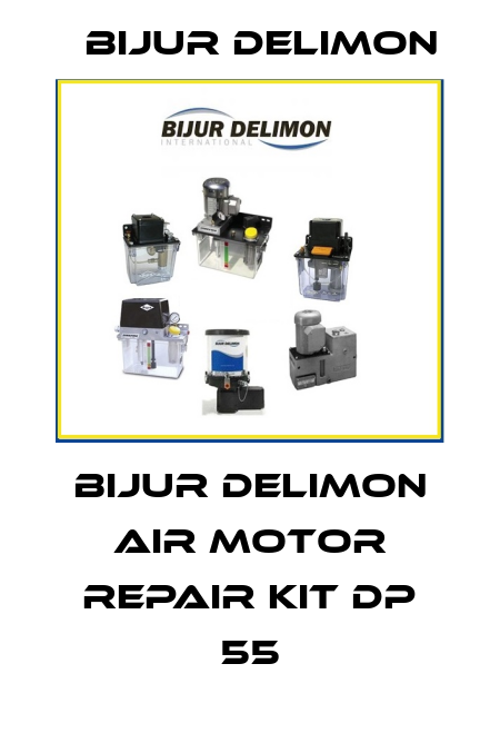 Bijur Delimon air motor repair kit DP 55 Bijur Delimon