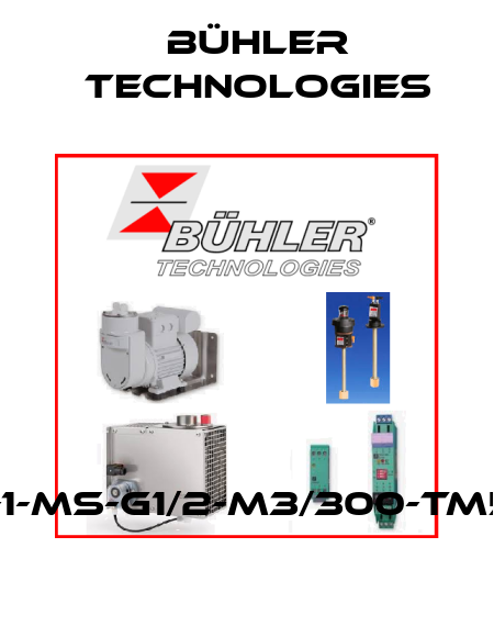 TSM-1-MS-G1/2-M3/300-TM55NO Bühler Technologies