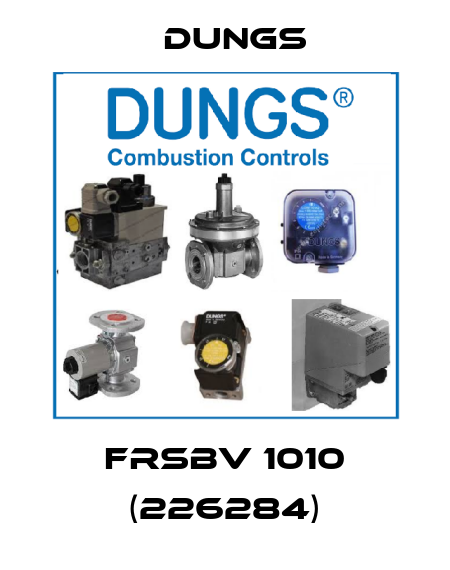 FRSBV 1010 (226284) Dungs