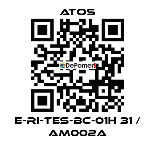 E-RI-TES-BC-01H 31 / AM002A Atos