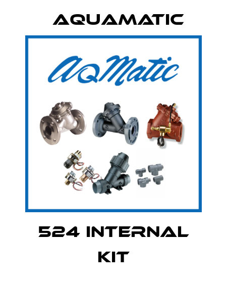524 internal kit AquaMatic