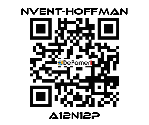 A12N12P nVent-Hoffman