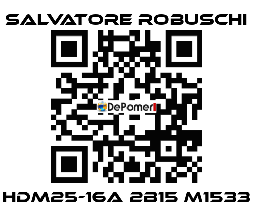 HDM25-16A 2B15 M1533 SALVATORE ROBUSCHI