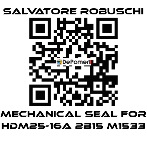 mechanical seal for HDM25-16A 2B15 M1533 SALVATORE ROBUSCHI