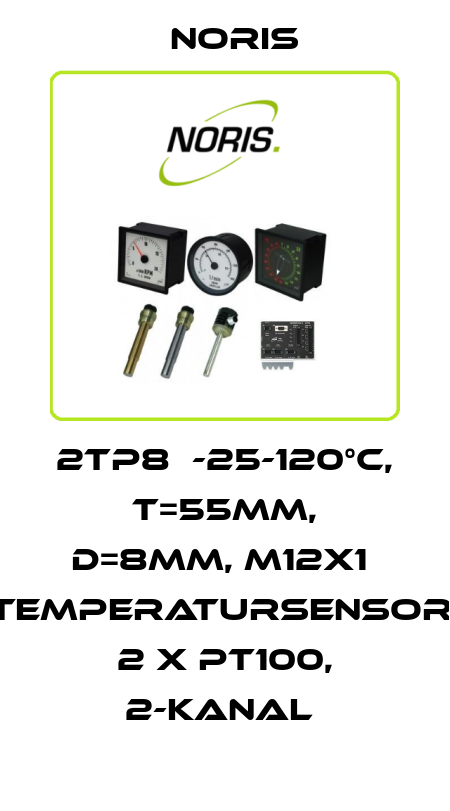 2TP8  -25-120°C, T=55mm, D=8mm, M12x1  Temperatursensor, 2 x Pt100, 2-Kanal  Noris
