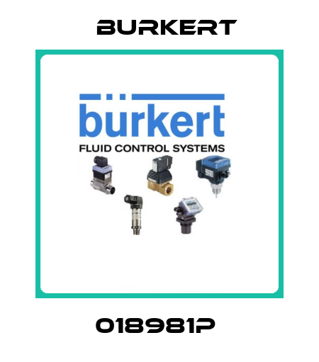 018981P  Burkert