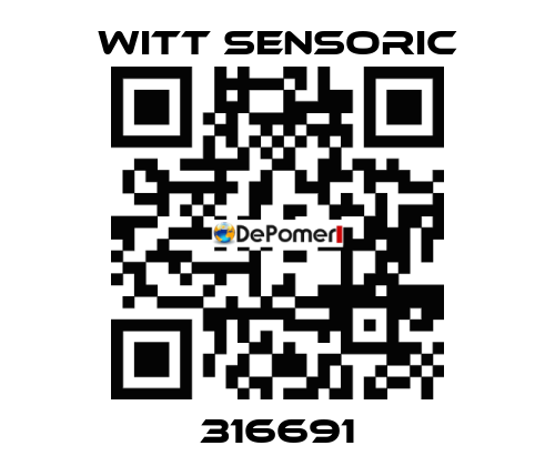 316691 Witt Sensoric