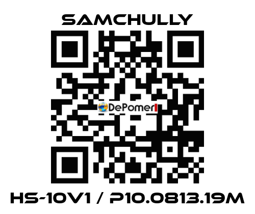 HS-10V1 / P10.0813.19M Samchully