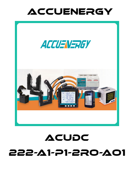 AcuDC 222-A1-P1-2RO-AO1  Accuenergy