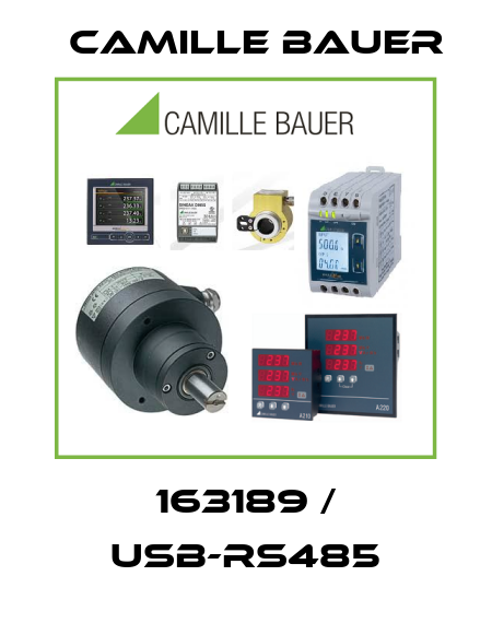 163189  USB-RS485 Camille Bauer