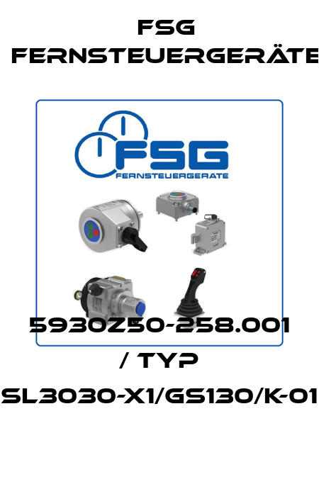 5930Z50-258.001 / Typ SL3030-X1/GS130/K-01 FSG Fernsteuergeräte