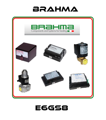 E6GS8  Brahma