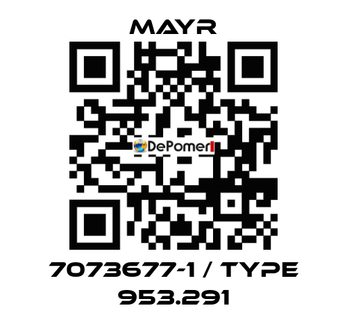 7073677-1 / Type 953.291 Mayr