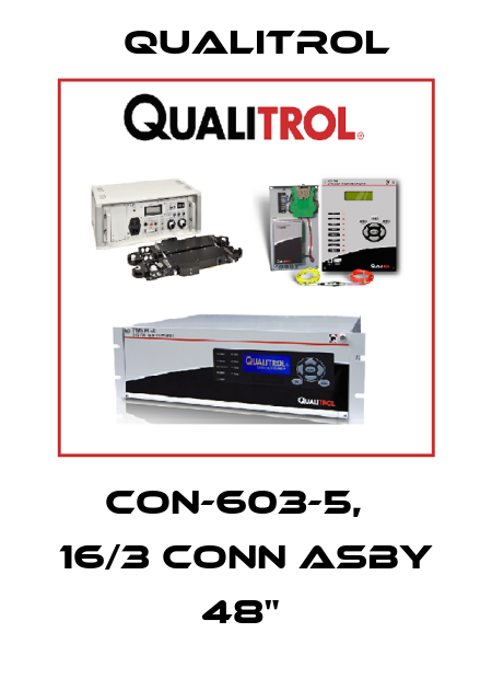 CON-603-5,   16/3 CONN ASBY 48"  Qualitrol