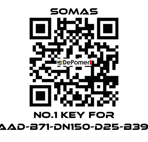 No.1 key for VSS-A5-AAD-B71-DN150-D25-B39-PN10-25 SOMAS