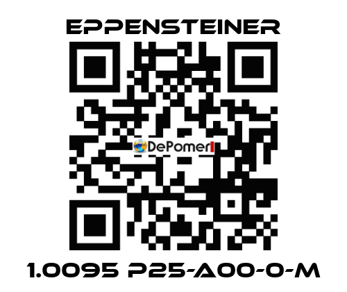 1.0095 P25-A00-0-M Eppensteiner