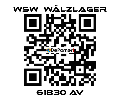 61830 AV WSW  Wälzlager