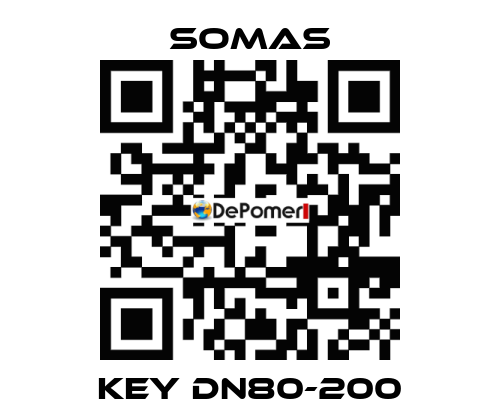 Key DN80-200 SOMAS