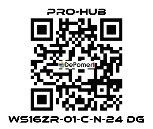 WS16ZR-01-C-N-24 DG Pro-Hub