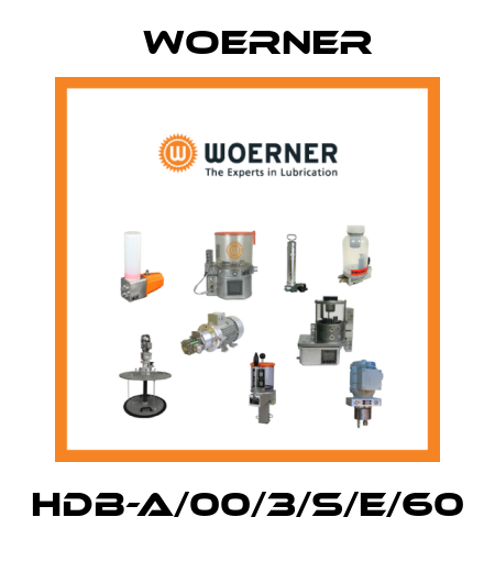 HDB-A/00/3/S/E/60 Woerner