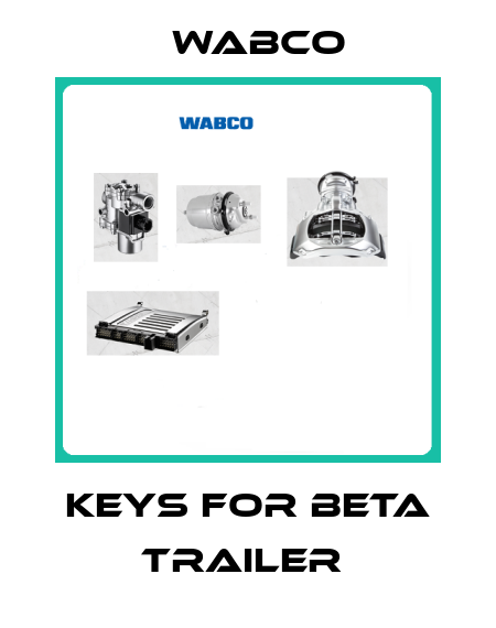 KEYS FOR BETA TRAILER  Wabco