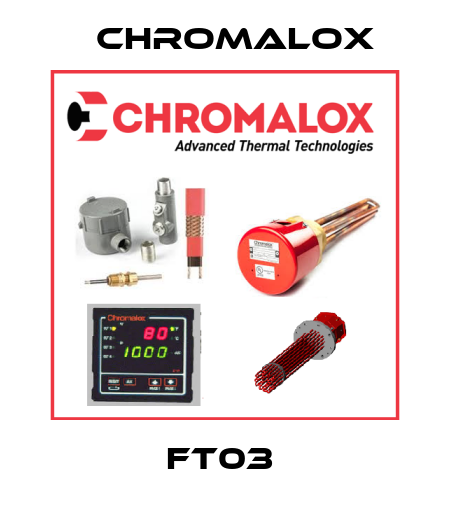 FT03  Chromalox