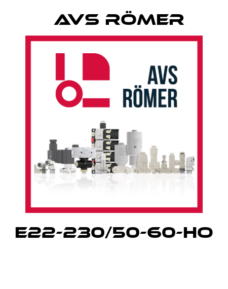 E22-230/50-60-HO  Avs Römer