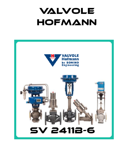 SV 2411B-6  Valvole Hofmann