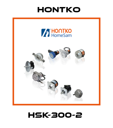 HSK-300-2  Hontko
