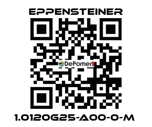 1.0120G25-A00-0-M  Eppensteiner