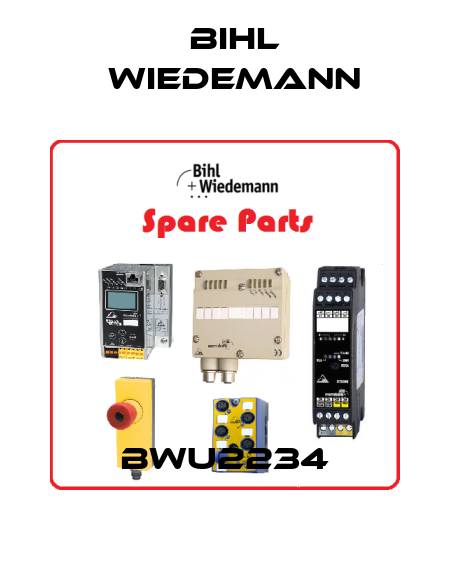 BWU2234 Bihl Wiedemann