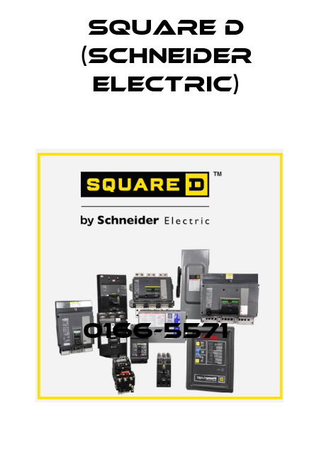 0166-5571  Square D (Schneider Electric)