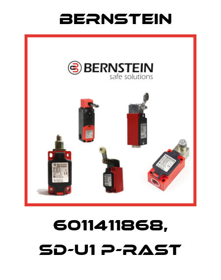 6011411868, SD-U1 P-RAST Bernstein
