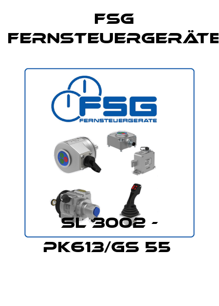 SL 3002 - PK613/GS 55  FSG Fernsteuergeräte