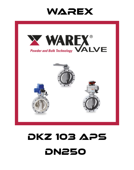 DKZ 103 APS DN250  Warex