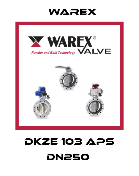 DKZE 103 APS DN250  Warex