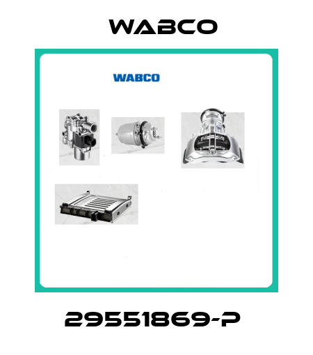 29551869-P  Wabco
