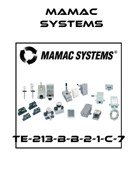 TE-213-B-B-2-1-C-7  Mamac Systems