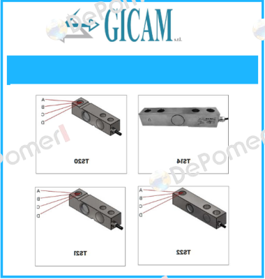 PE 29/2009  Gicam