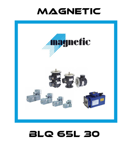 BLQ 65L 30  Magnetic
