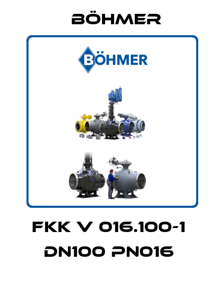 FKK V 016.100-1  DN100 PN016  Böhmer