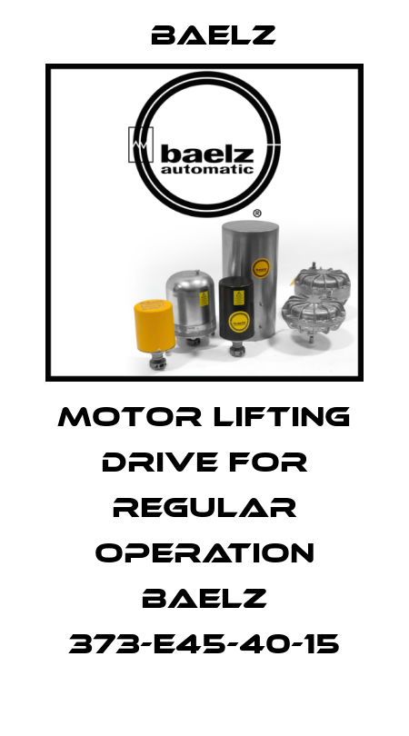 Motor lifting drive for regular operation baelz 373-E45-40-15 Baelz