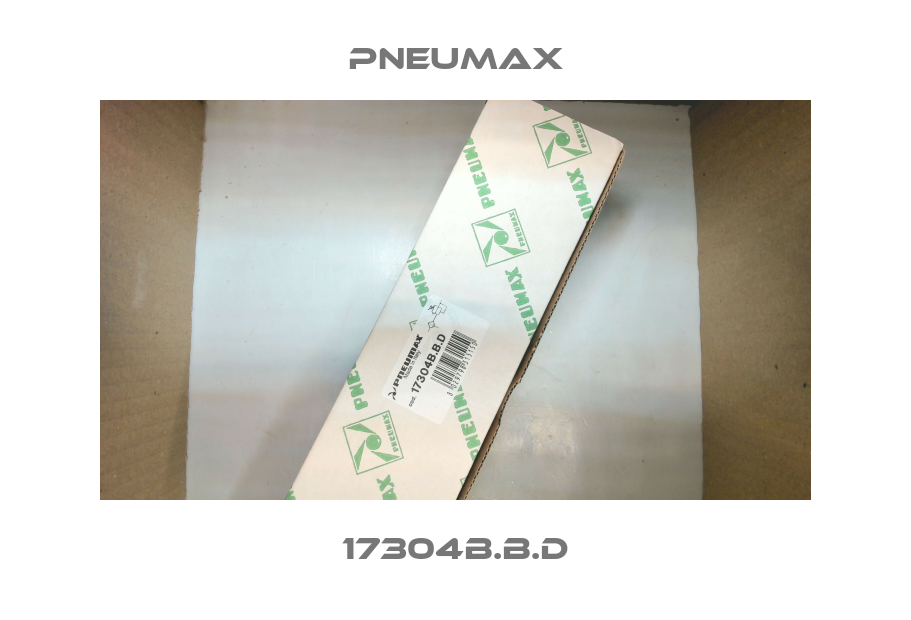 17304B.B.D Pneumax
