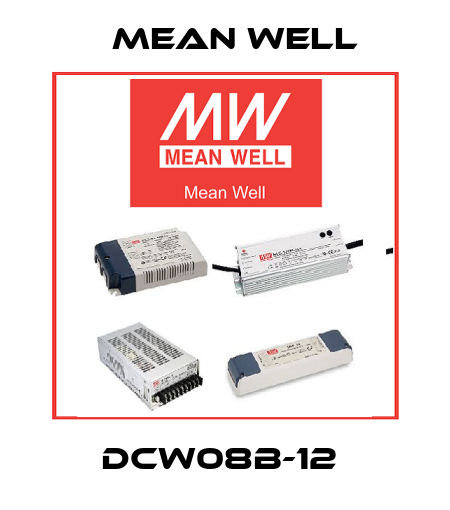 DCW08B-12  Mean Well