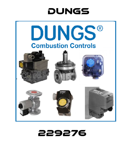 229276   Dungs
