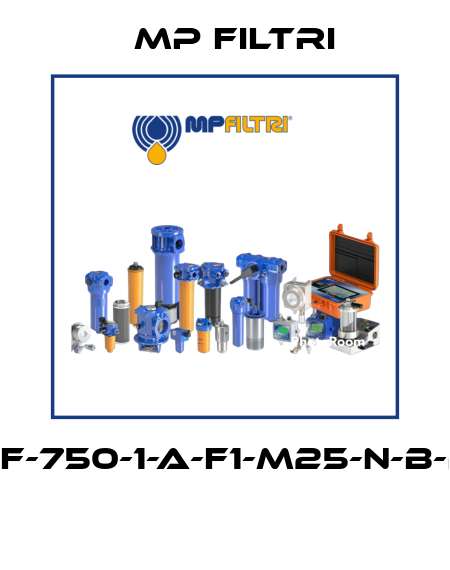 MPF-750-1-A-F1-M25-N-B-P01  MP Filtri