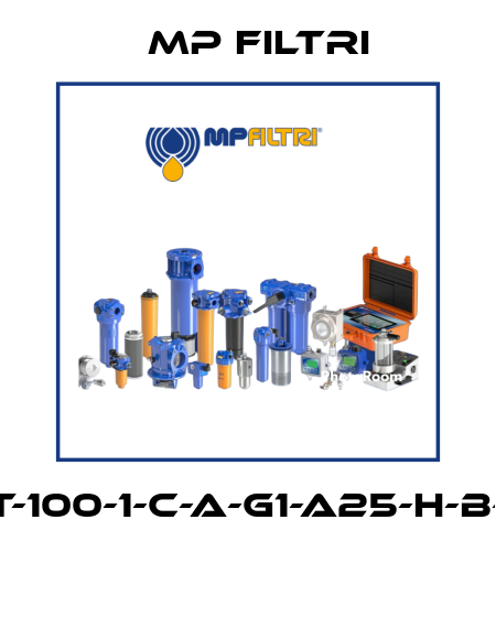 MPT-100-1-C-A-G1-A25-H-B-P01  MP Filtri