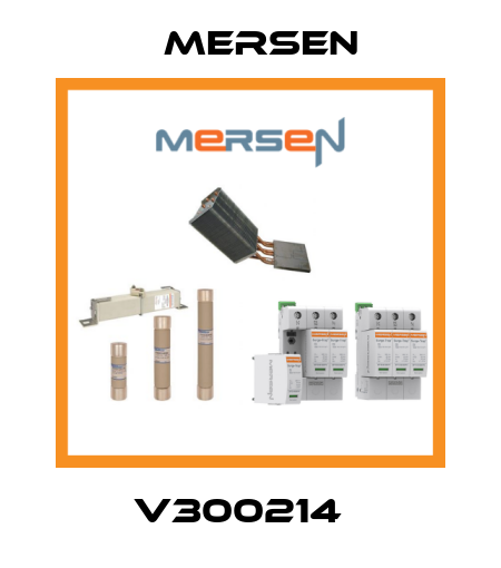 V300214   Mersen