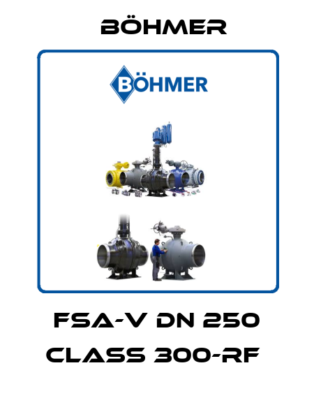 FSA-V DN 250 CLASS 300-RF  Böhmer